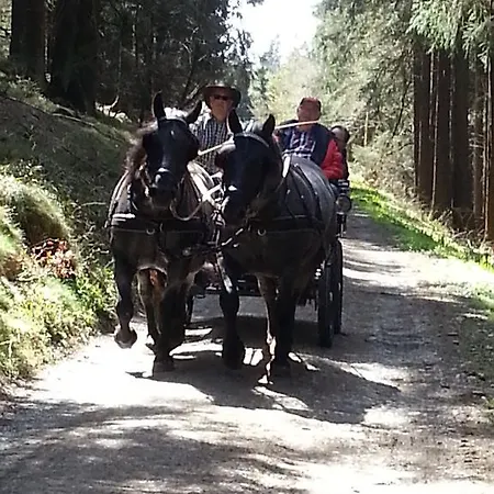 Apartman Ohmeis Winterberg