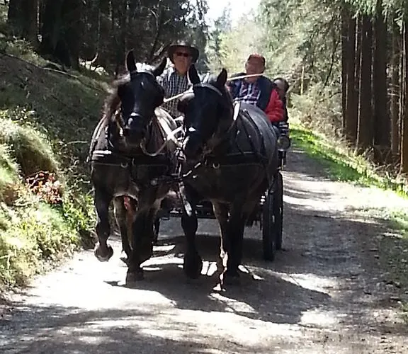 Apartamento Ohmeis Winterberg